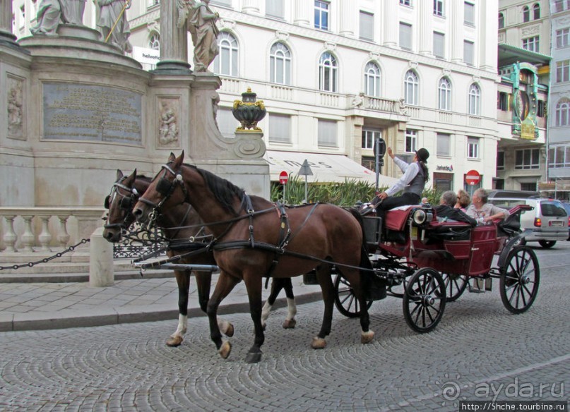 Венские фаэтоны и другой транспорт
