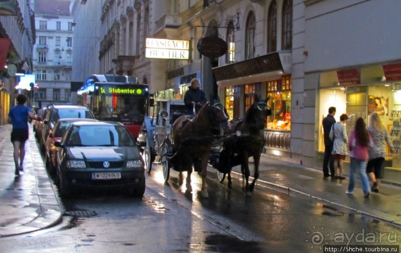 Венские фаэтоны и другой транспорт