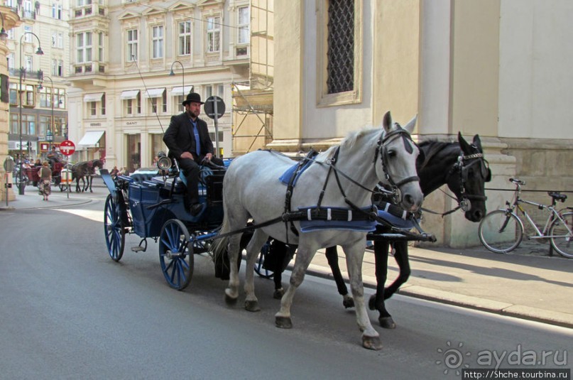 Венские фаэтоны и другой транспорт