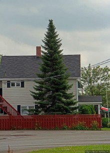 Гранд-Фолс. Когда "Grand" вовсе не означает "большой"