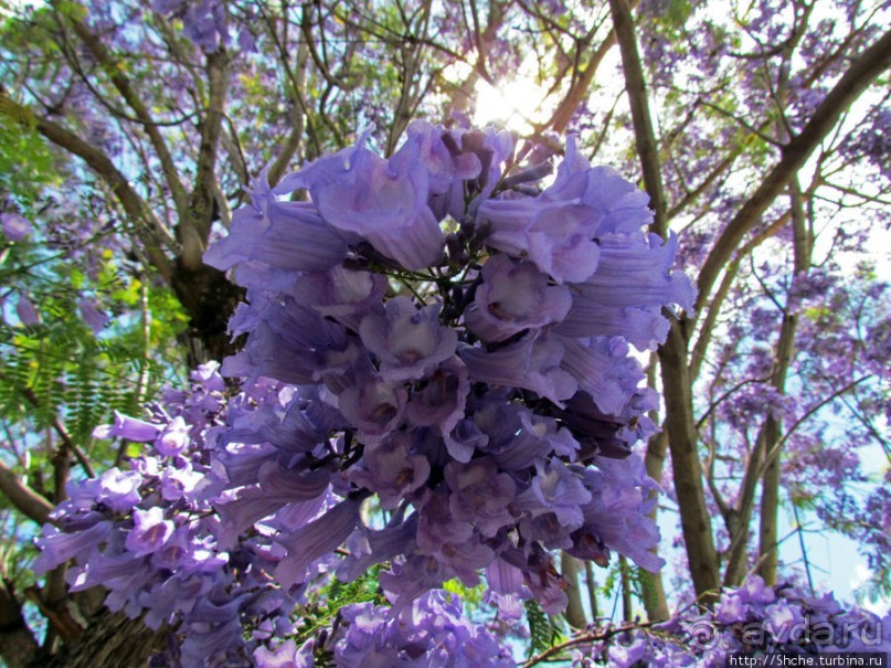 Город на холмах. Антананариву - столица Мадагаскара