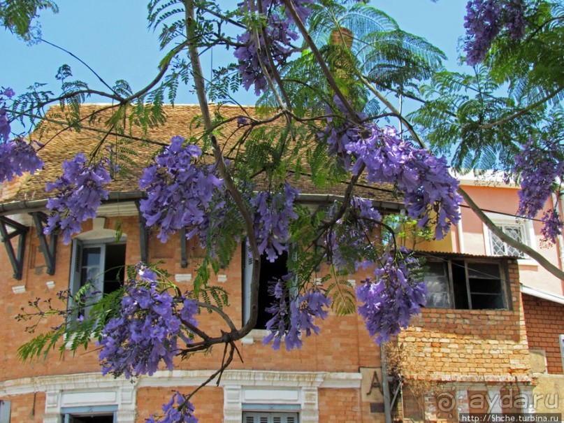 Город на холмах. Антананариву - столица Мадагаскара