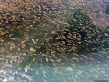 "Одеялом лоскутным на ней...городу 2000 лет, прожитых... "