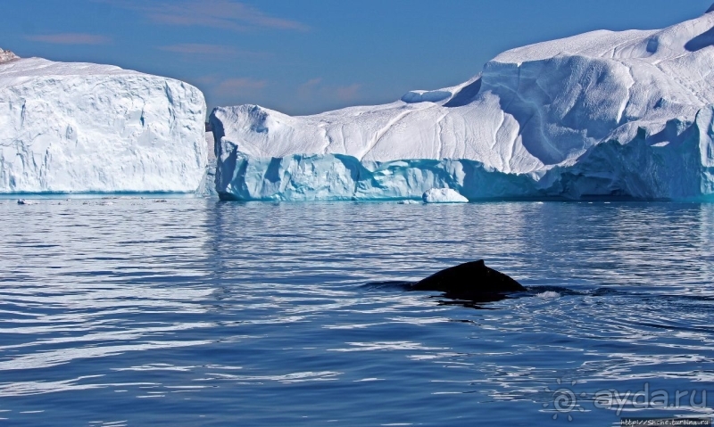 Бесконечность 