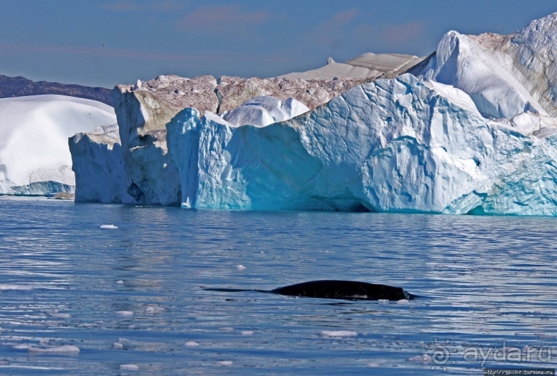 Бесконечность 