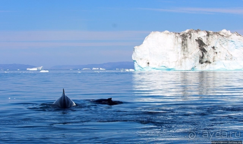 Бесконечность 