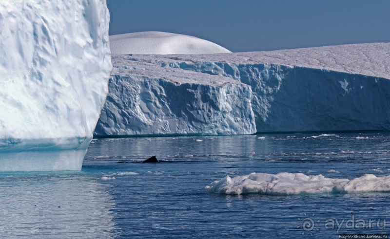 Бесконечность 