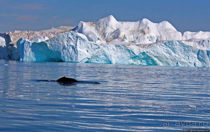 Бесконечность 