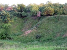 Лисенок под Роганью