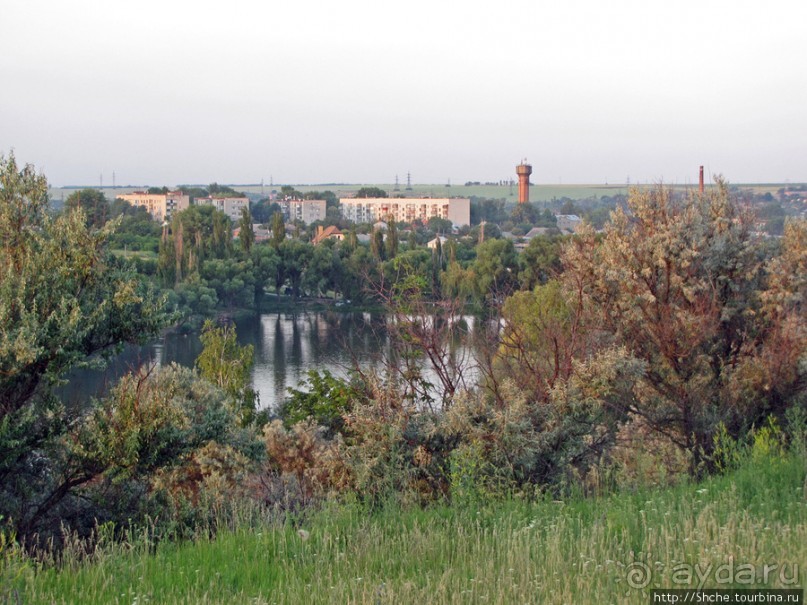 Лисенок под Роганью