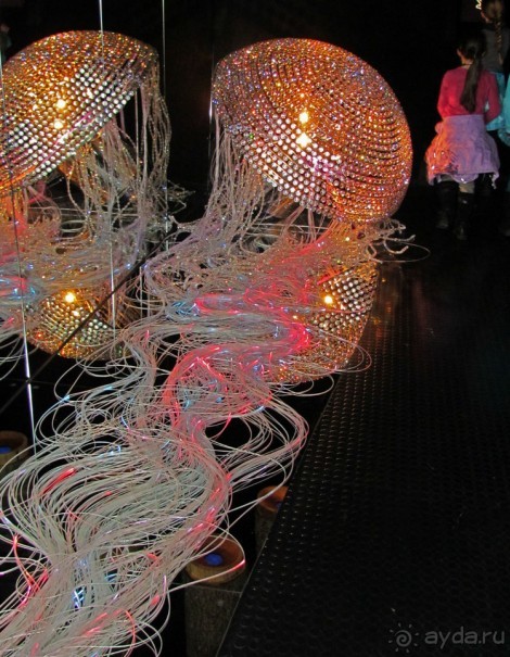 Альбом отзыва ""Кристальные миры Сваровски". 14 залов. Совет-путеводитель"