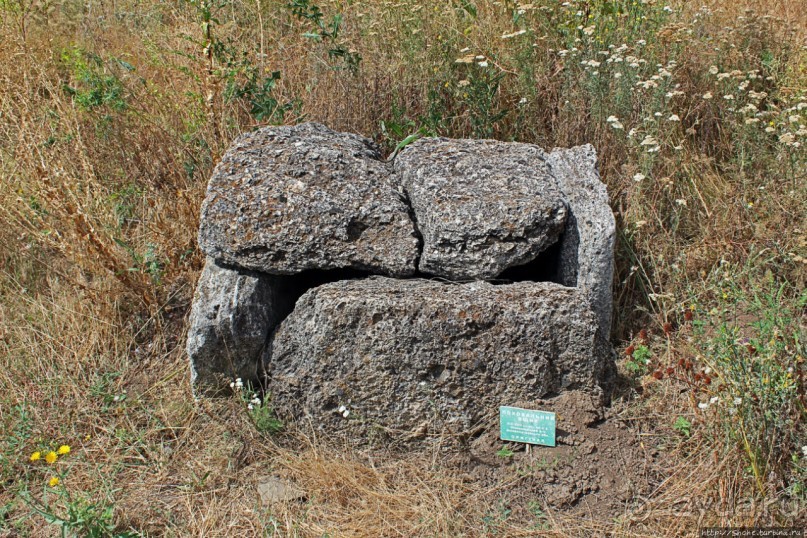 Альбом отзыва "Спят курганы скифские"