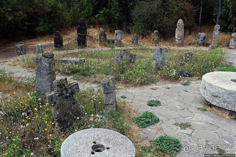 Спят курганы скифские