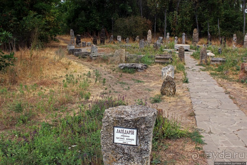 Альбом отзыва "Спят курганы скифские"