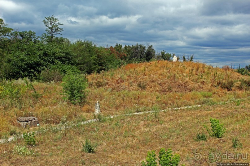 Альбом отзыва "Спят курганы скифские"