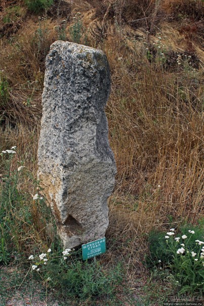 Альбом отзыва "Спят курганы скифские"