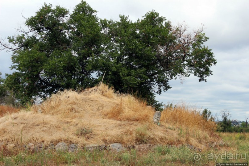 Альбом отзыва "Спят курганы скифские"