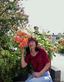 Воспоминания о норвежском круизе 2005. Мольде