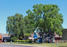 Хорошая де(ре)вушка Нида! А чем же она хороша