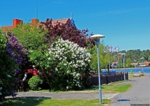 Хорошая де(ре)вушка Нида! А чем же она хороша