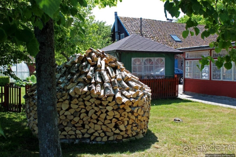 Хорошая де(ре)вушка Нида! А чем же она хороша