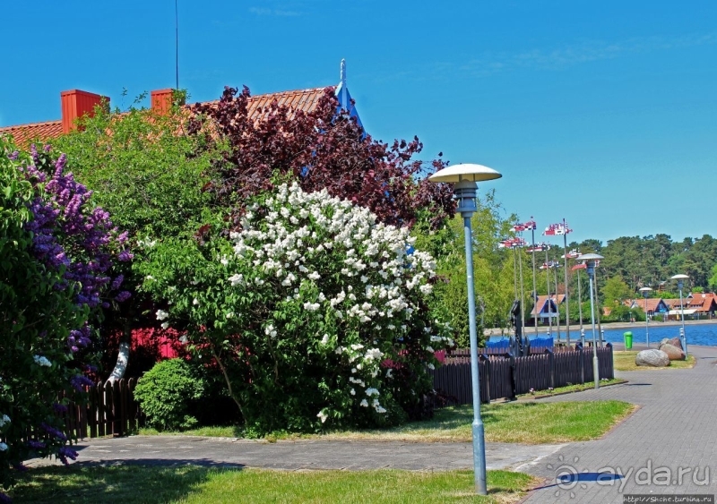 Хорошая де(ре)вушка Нида! А чем же она хороша