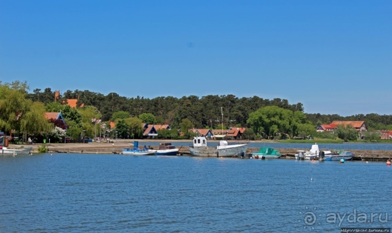 Хорошая де(ре)вушка Нида! А чем же она хороша