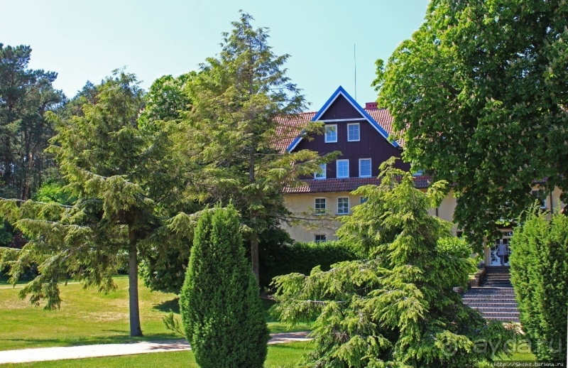 Хорошая де(ре)вушка Нида! А чем же она хороша