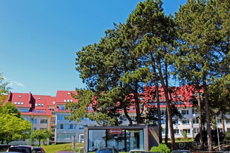 Хорошая де(ре)вушка Нида! А чем же она хороша