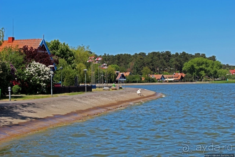 Хорошая де(ре)вушка Нида! А чем же она хороша