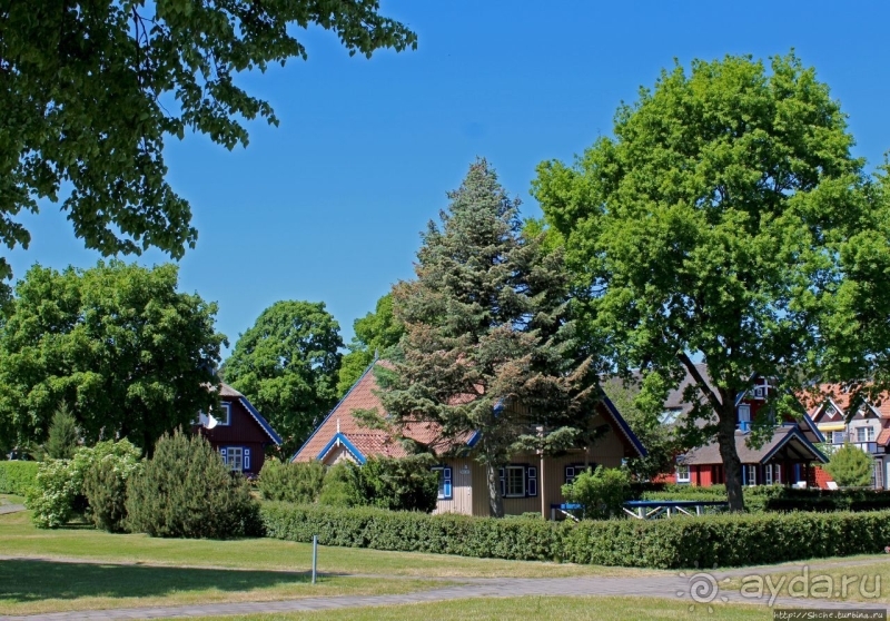 Хорошая де(ре)вушка Нида! А чем же она хороша