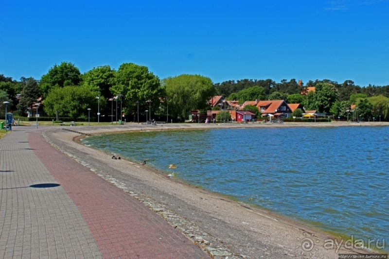 Хорошая де(ре)вушка Нида! А чем же она хороша