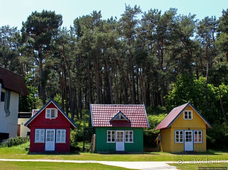 Хорошая де(ре)вушка Нида! А чем же она хороша