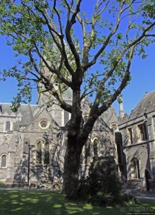 Собор Христа — главный кафедральный собор Дублина