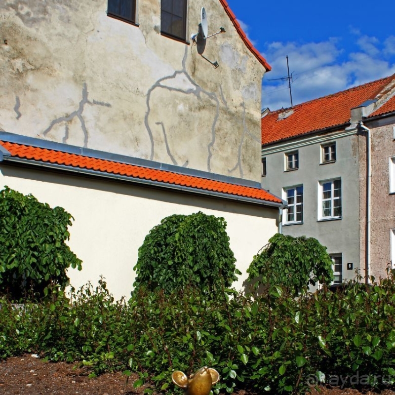 "Превращай мысли в слова, а слова — в чудо"