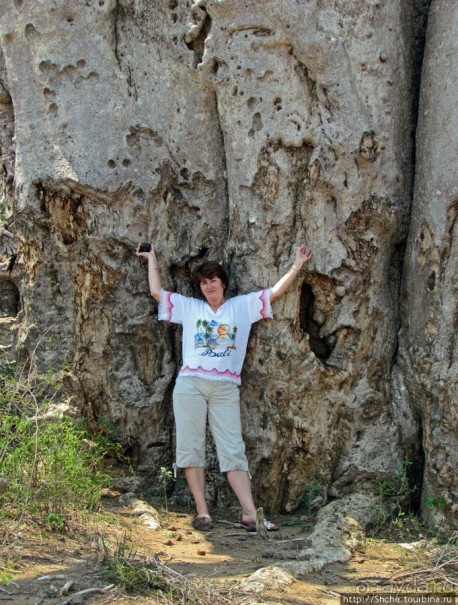 Юг Мадагаскара - край некошенных баобабов