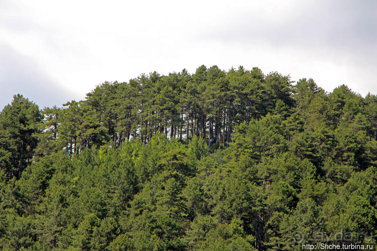 А боги смотрели сверху и ухмылялись