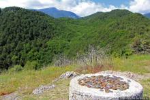 А боги смотрели сверху и ухмылялись