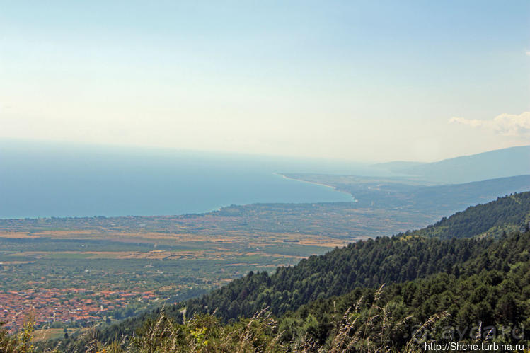 А боги смотрели сверху и ухмылялись