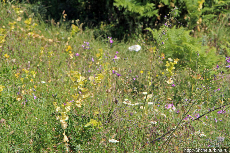 А боги смотрели сверху и ухмылялись