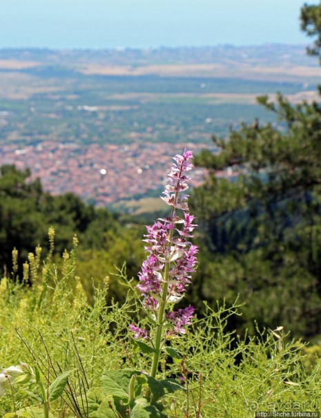А боги смотрели сверху и ухмылялись