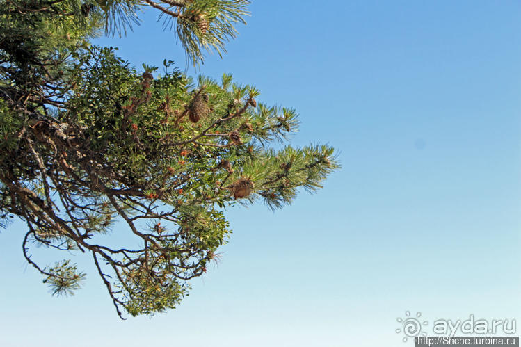 А боги смотрели сверху и ухмылялись
