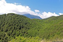 А боги смотрели сверху и ухмылялись