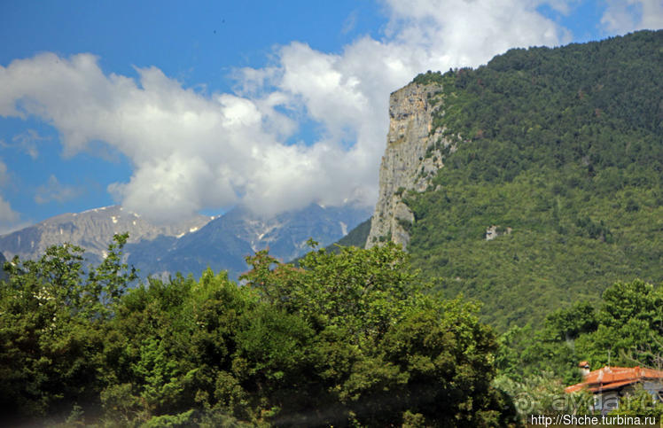 А боги смотрели сверху и ухмылялись