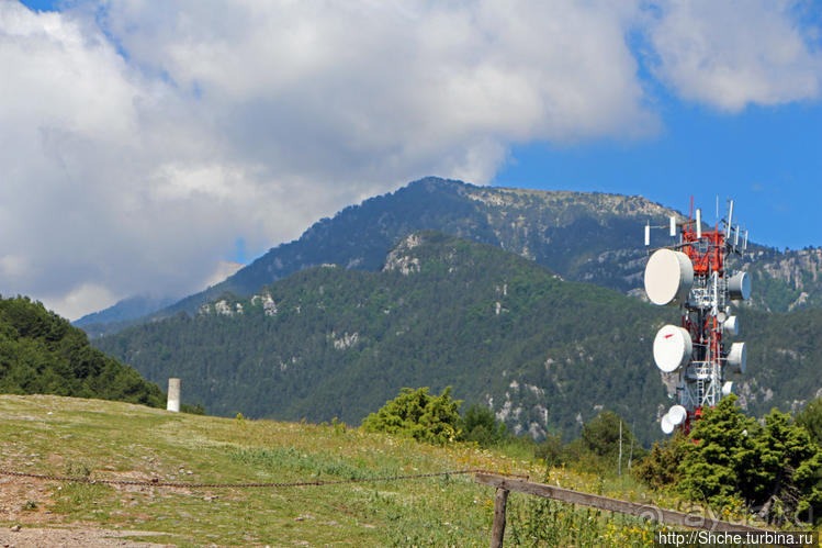 А боги смотрели сверху и ухмылялись