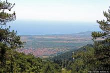 А боги смотрели сверху и ухмылялись