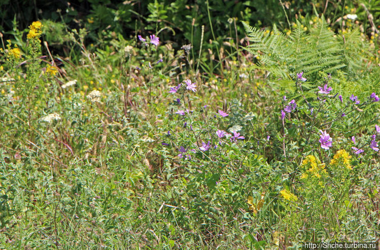 А боги смотрели сверху и ухмылялись
