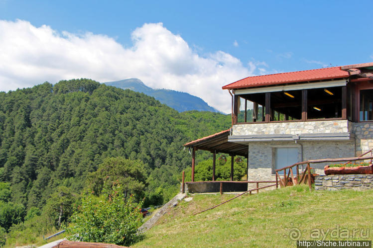 А боги смотрели сверху и ухмылялись