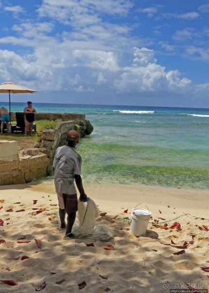 Альбом отзыва "Старик и море"