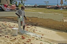 Альбом отзыва "Старик и море"